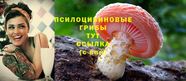 прущие грибы Магас