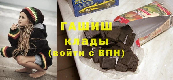 индика Мегион