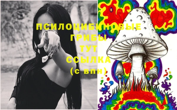бошки Майский