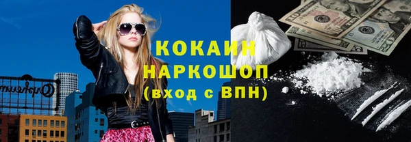 индика Мегион